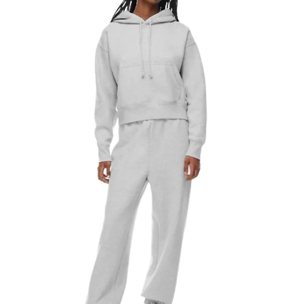 TNA Cropped Hoodie Sweatshirt in Heather Grey Size XXS